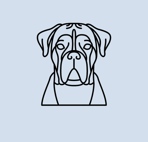2D Boxer