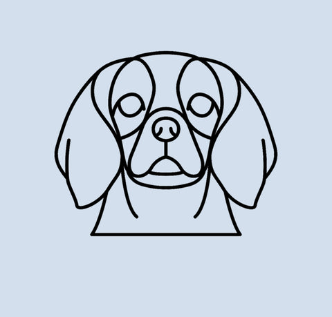 2D Cavelier King Charles Spaniel