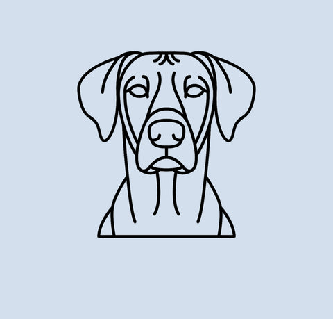 2D Rhodesian Ridgeback