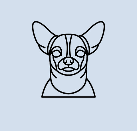 2D Chihuahua