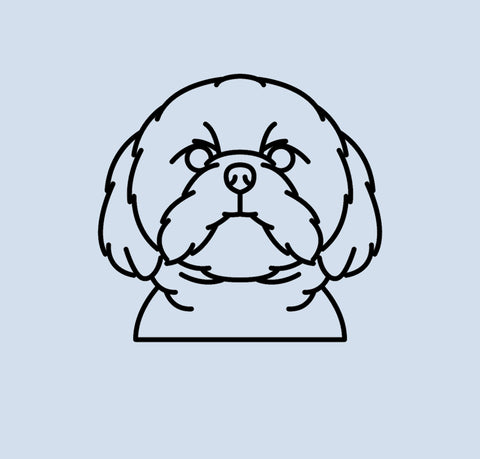 2D Shih Tzu