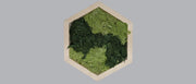 Mos wall hexagon