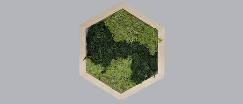 Mos wall hexagon