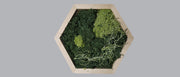 Mos wall hexagon