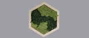Mos wall hexagon