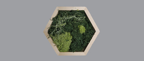 Mos wall hexagon