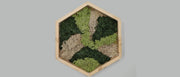 Mos wall hexagon