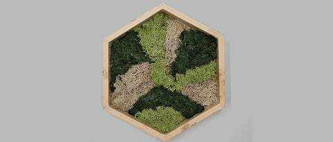Mos wall hexagon