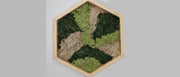 Mos wall hexagon