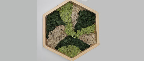 Mos wall hexagon