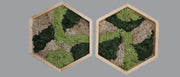 Mos wall hexagon dubbel