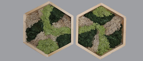 Mos wall hexagon dubbel