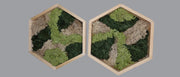 Mos wall hexagon dubbel